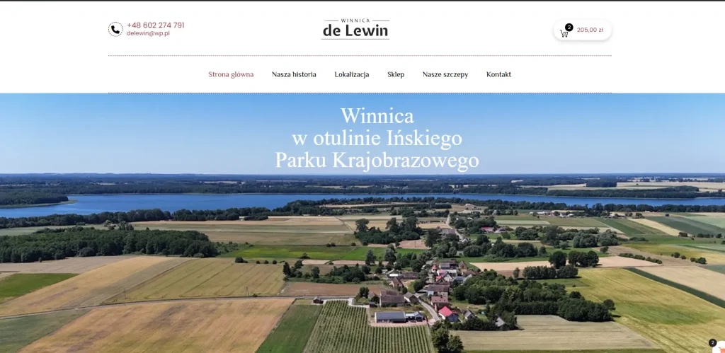 Winnica de Lewin